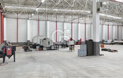 DEVREN SATILIK ÜRETİM TESİSİ & FABRİKA