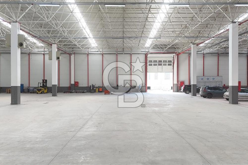 DEVREN SATILIK ÜRETİM TESİSİ & FABRİKA