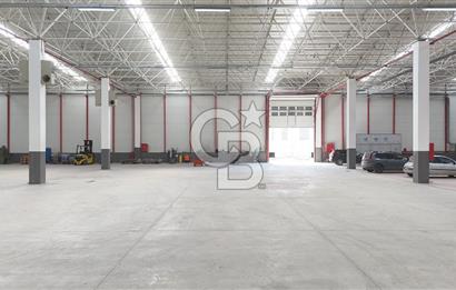 DEVREN SATILIK ÜRETİM TESİSİ & FABRİKA