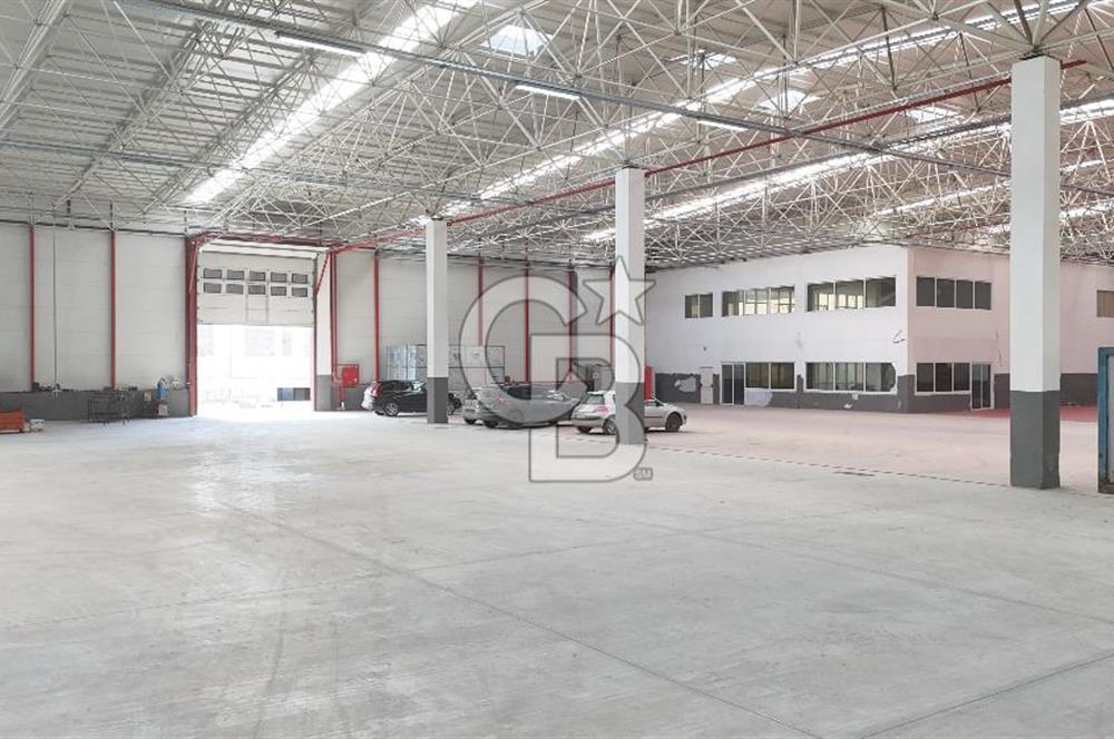 DEVREN SATILIK ÜRETİM TESİSİ & FABRİKA