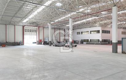 DEVREN SATILIK ÜRETİM TESİSİ & FABRİKA