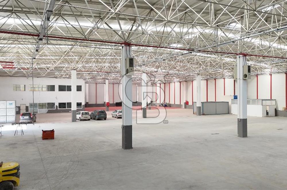 DEVREN SATILIK ÜRETİM TESİSİ & FABRİKA