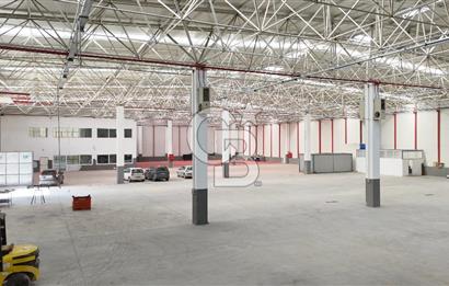 DEVREN SATILIK ÜRETİM TESİSİ & FABRİKA