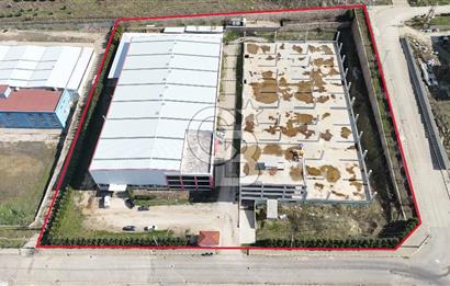 DEVREN SATILIK ÜRETİM TESİSİ & FABRİKA