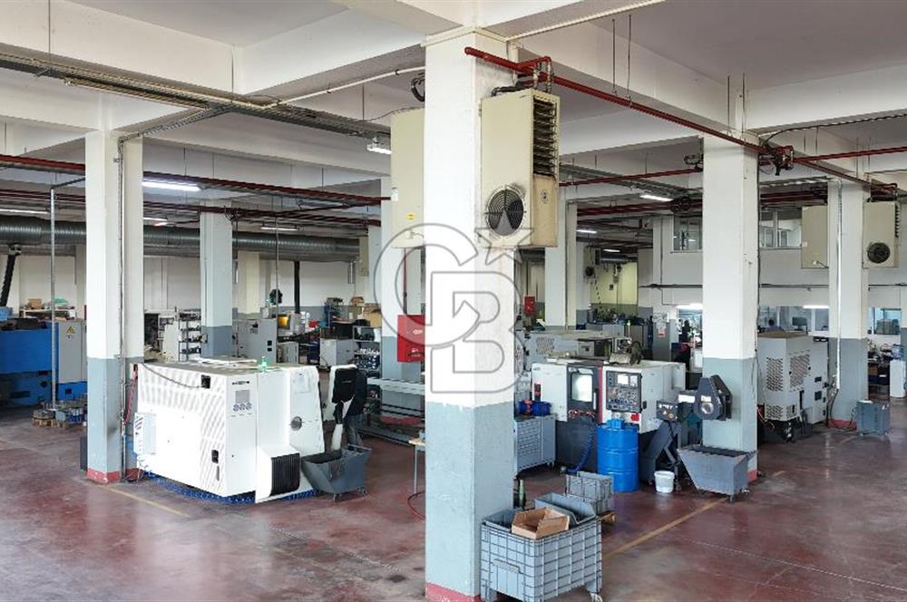 DEVREN SATILIK ÜRETİM TESİSİ & FABRİKA