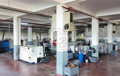 DEVREN SATILIK ÜRETİM TESİSİ & FABRİKA