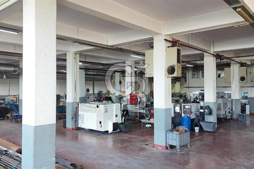 DEVREN SATILIK ÜRETİM TESİSİ & FABRİKA