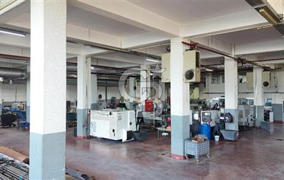 DEVREN SATILIK ÜRETİM TESİSİ & FABRİKA