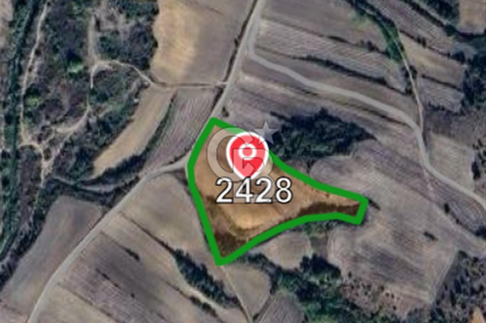 Kırklareli Babaeski Yeniköy’de 18.500 m² Çiftlik Kurmaya Uygun Verimli Tarla