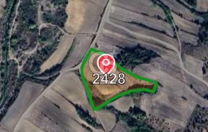 Kırklareli Babaeski Yeniköy’de 18.500 m² Çiftlik Kurmaya Uygun Verimli Tarla