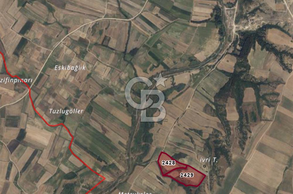 Kırklareli Babaeski Yeniköy’de 18.500 m² Çiftlik Kurmaya Uygun Verimli Tarla