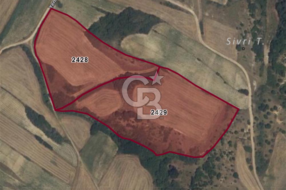 Kırklareli Babaeski Yeniköy’de 18.500 m² Çiftlik Kurmaya Uygun Verimli Tarla