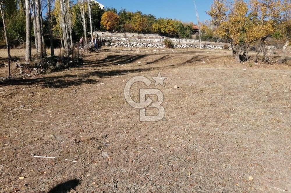 MUĞLA SEYDİKEMER ELDİREK KÖYİÇİ'NDE 250 M2 İNŞAAT İZİNLİ SATILIK TARLA