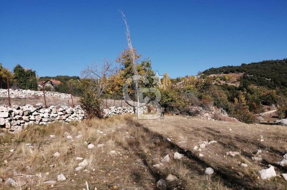 MUĞLA SEYDİKEMER ELDİREK KÖYİÇİ'NDE 250 M2 İNŞAAT İZİNLİ SATILIK TARLA