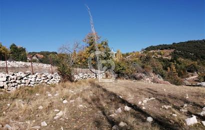 MUĞLA SEYDİKEMER ELDİREK KÖYİÇİ'NDE 250 M2 İNŞAAT İZİNLİ SATILIK TARLA