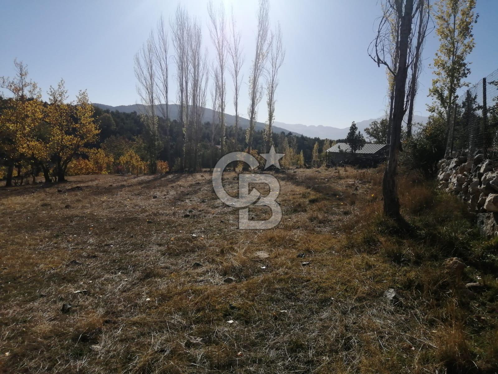 MUĞLA SEYDİKEMER ELDİREK KÖYİÇİ'NDE 250 M2 İNŞAAT İZİNLİ SATILIK TARLA