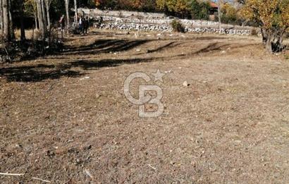 MUĞLA SEYDİKEMER ELDİREK KÖYİÇİ'NDE 250 M2 İNŞAAT İZİNLİ SATILIK TARLA