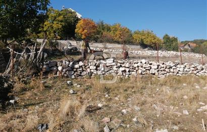 MUĞLA SEYDİKEMER ELDİREK KÖYİÇİ'NDE 250 M2 İNŞAAT İZİNLİ SATILIK TARLA