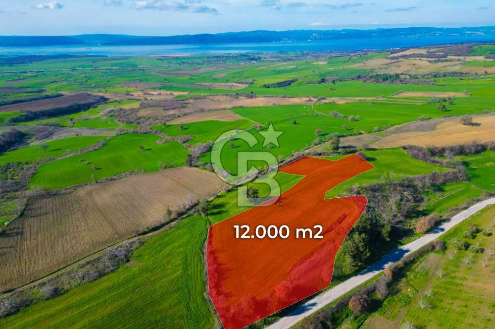 ÇANAKKALE KEMEL KÖYÜNDE BOĞAZ MANZARALI SATILIK 12 DÖNÜM TARLA