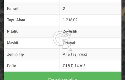 Tekirdağ Şarköy Eriklice'de Satılık Zeytinlik
