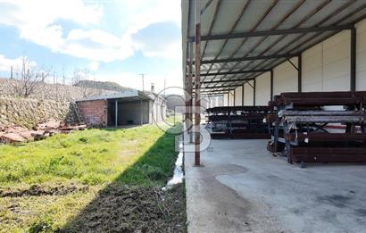 DEVREN SATILIK ÜRETİM TESİSİ & FABRİKA