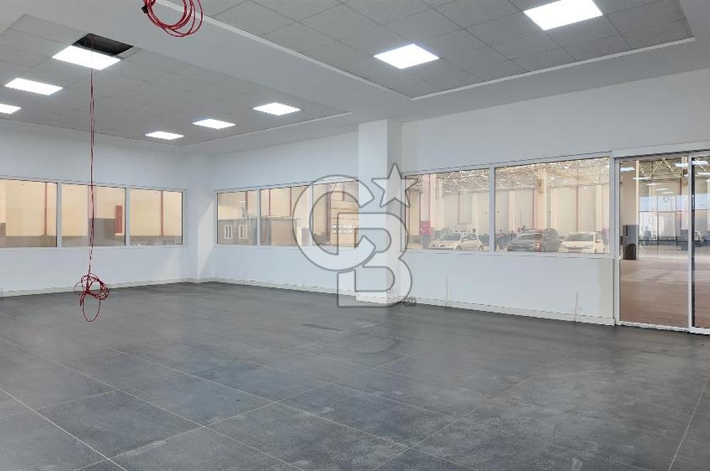 DEVREN SATILIK ÜRETİM TESİSİ & FABRİKA