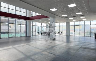 DEVREN SATILIK ÜRETİM TESİSİ & FABRİKA