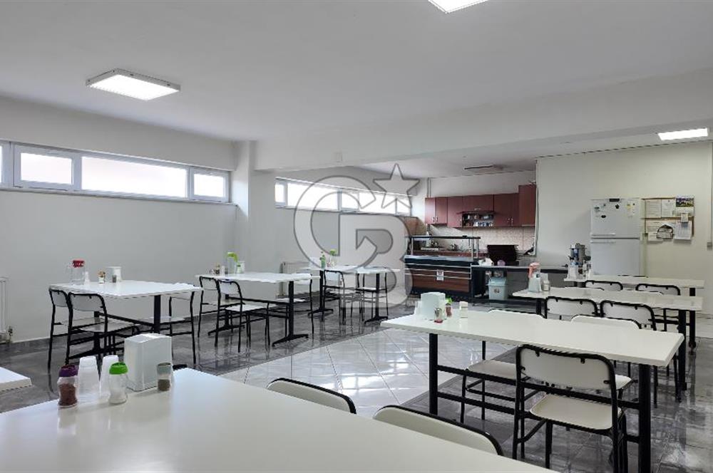 DEVREN SATILIK ÜRETİM TESİSİ & FABRİKA