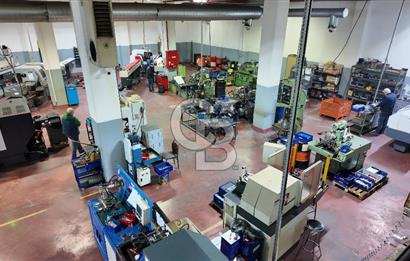 DEVREN SATILIK ÜRETİM TESİSİ & FABRİKA