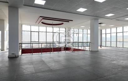 DEVREN SATILIK ÜRETİM TESİSİ & FABRİKA