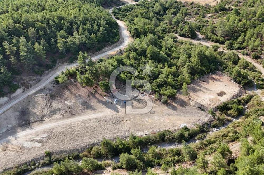 Menderes Görecede Villa İmarlı Satılık Tarla