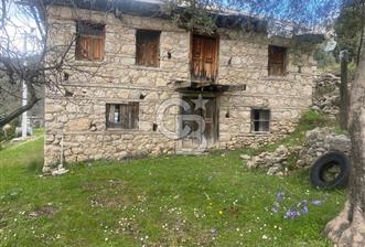 CB GİZ'DEN KAŞ ÜZÜMLÜ'DE SATILIK TARLA - 1 - 337511