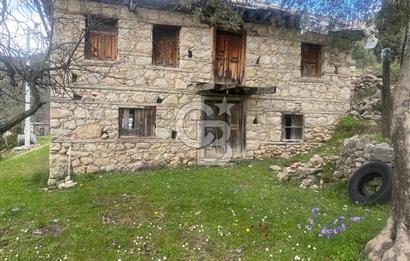 CB GİZ'DEN KAŞ ÜZÜMLÜ'DE SATILIK TARLA