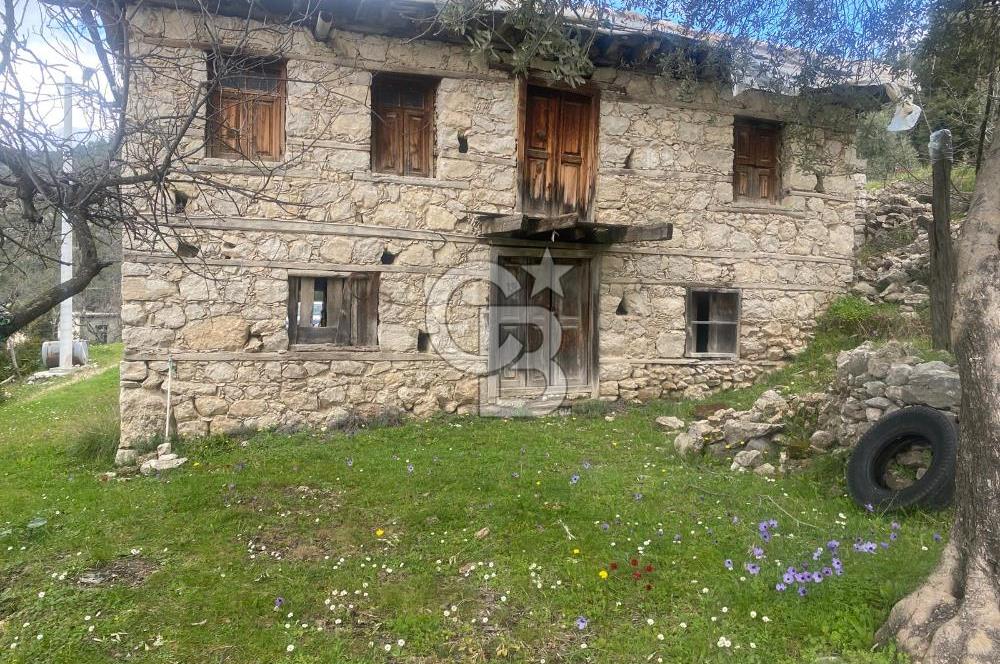 CB GİZ'DEN KAŞ ÜZÜMLÜ'DE SATILIK TARLA