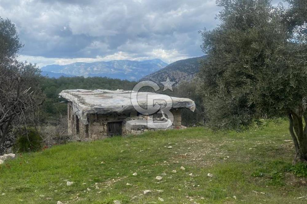 CB GİZ'DEN KAŞ ÜZÜMLÜ'DE SATILIK TARLA