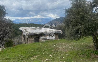 CB GİZ'DEN KAŞ ÜZÜMLÜ'DE SATILIK TARLA