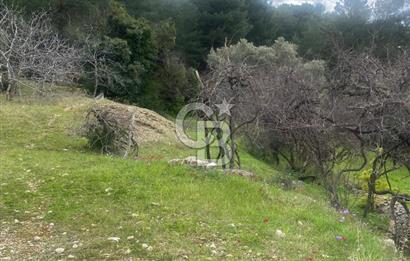 CB GİZ'DEN KAŞ ÜZÜMLÜ'DE SATILIK TARLA