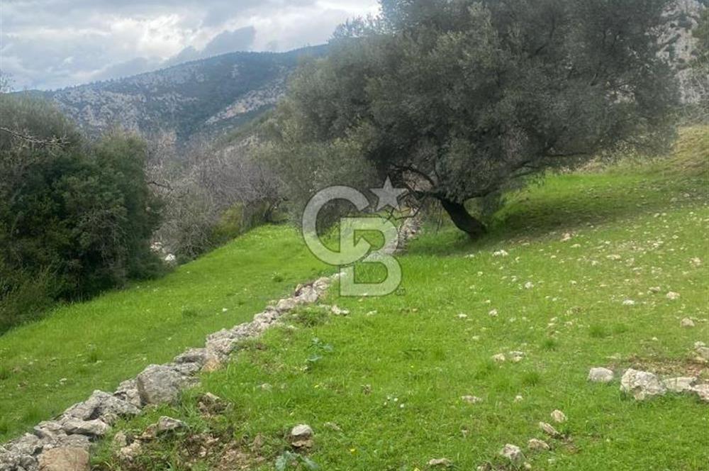 CB GİZ'DEN KAŞ ÜZÜMLÜ'DE SATILIK TARLA