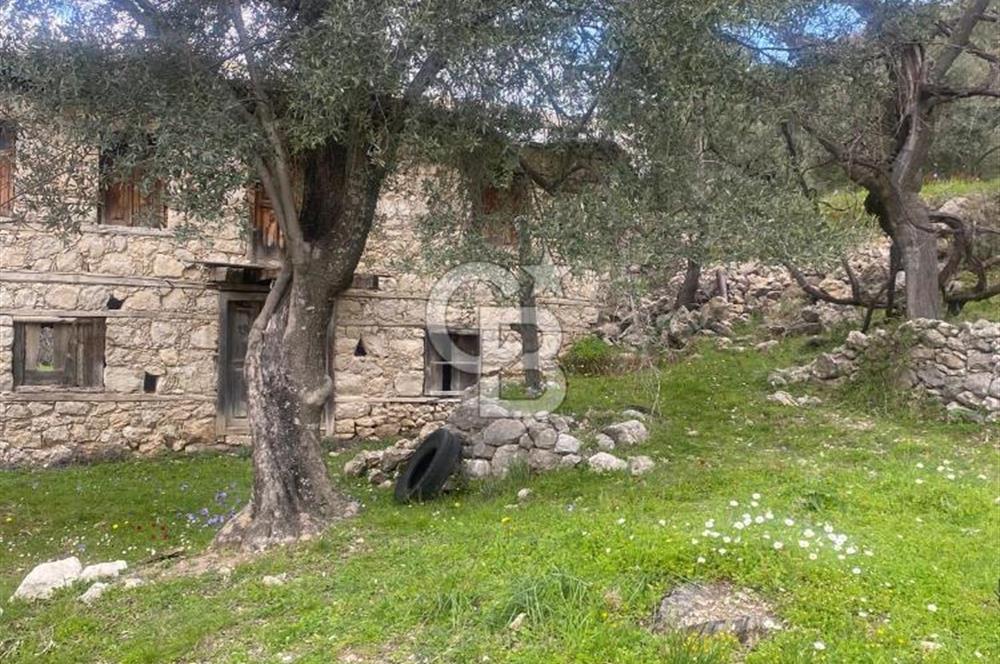 CB GİZ'DEN KAŞ ÜZÜMLÜ'DE SATILIK TARLA