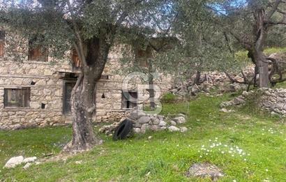 CB GİZ'DEN KAŞ ÜZÜMLÜ'DE SATILIK TARLA