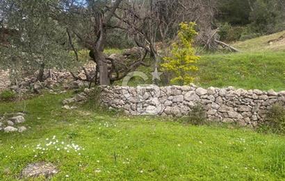 CB GİZ'DEN KAŞ ÜZÜMLÜ'DE SATILIK TARLA