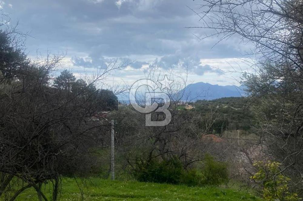 CB GİZ'DEN KAŞ ÜZÜMLÜ'DE SATILIK TARLA