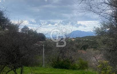 CB GİZ'DEN KAŞ ÜZÜMLÜ'DE SATILIK TARLA