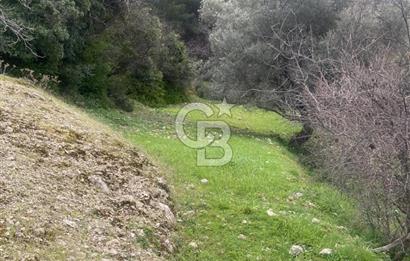 CB GİZ'DEN KAŞ ÜZÜMLÜ'DE SATILIK TARLA