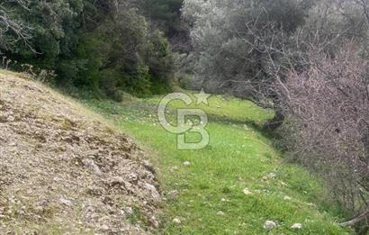 CB GİZ'DEN KAŞ ÜZÜMLÜ'DE SATILIK TARLA