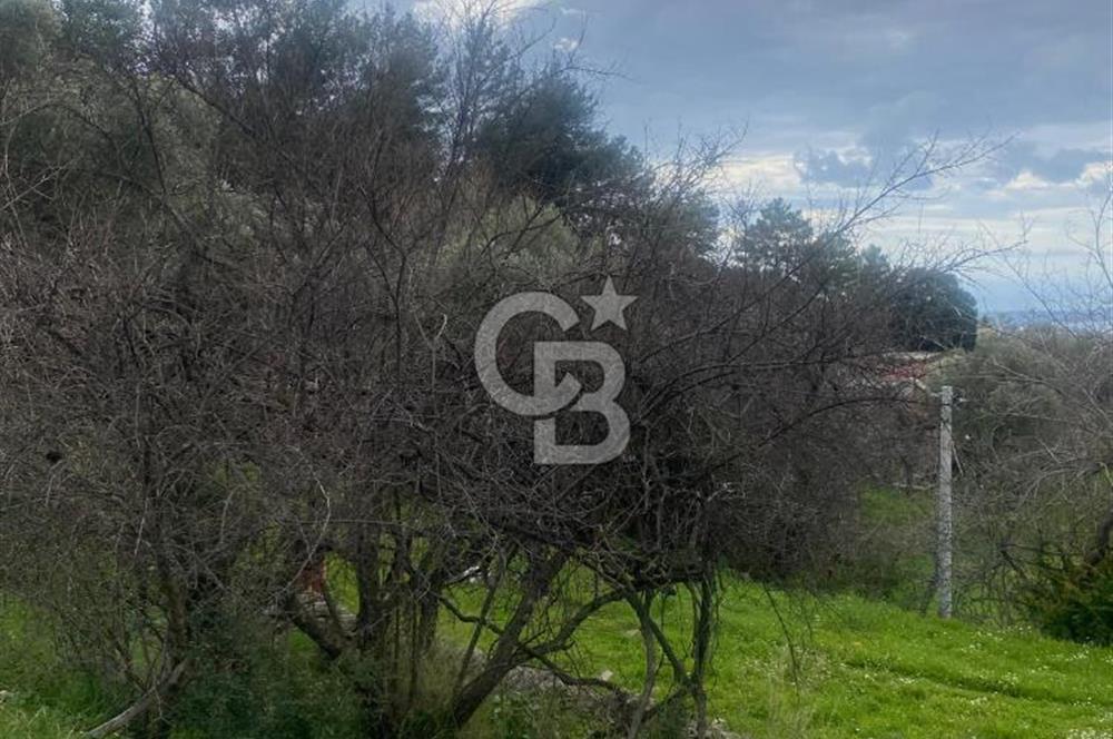 CB GİZ'DEN KAŞ ÜZÜMLÜ'DE SATILIK TARLA