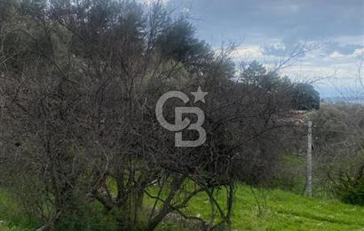 CB GİZ'DEN KAŞ ÜZÜMLÜ'DE SATILIK TARLA