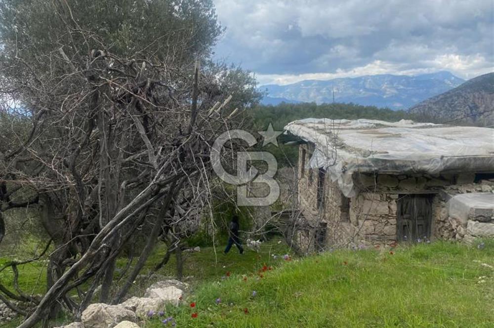 CB GİZ'DEN KAŞ ÜZÜMLÜ'DE SATILIK TARLA