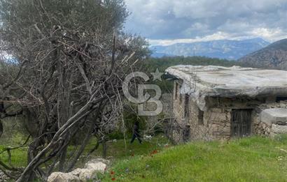 CB GİZ'DEN KAŞ ÜZÜMLÜ'DE SATILIK TARLA