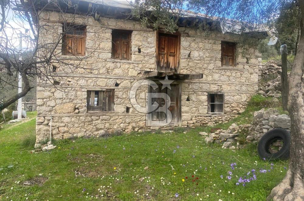 CB GİZ'DEN KAŞ ÜZÜMLÜ'DE SATILIK TARLA